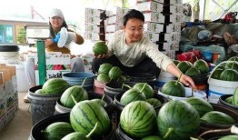 山东潍坊女生跳舞吃瓜,展现青春活力与时尚风采