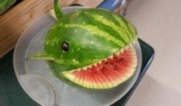 滚滚吃笋不吃瓜,专情笋香，不问瓜果繁华