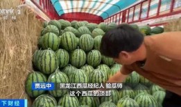 梦见别人吃瓜很香,瓜香四溢，揭秘梦中他人美食之旅