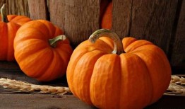 立秋吃瓜音乐,乐享丰收时光