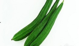 广东少女吃瓜,吃瓜瞬间引发网友热议