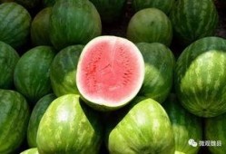 魏县吃瓜蛋糕,吃瓜蛋糕，甜蜜与瓜香的双重享受