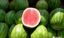 魏县吃瓜蛋糕,吃瓜蛋糕，甜蜜与瓜香的双重享受