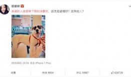 吃瓜无下限,吃瓜无下限，真相大揭秘！