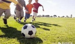 韩国吃瓜事件足球,揭秘幕后真相与争议焦点