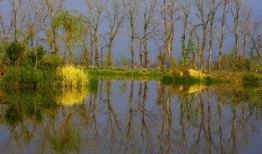 西昌湿地公园吃瓜,夏日消暑吃瓜好去处