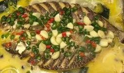 多鱼吃瓜视频,揭秘娱乐圈幕后真相