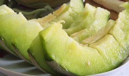 新疆农民吃老汉瓜,老汉瓜带来的丰收喜悦