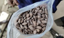 墨遥吃瓜,揭秘娱乐圈背后的那些事儿