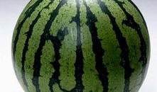 群内吃瓜,揭秘网络社交背后的趣味与争议