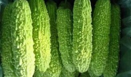 南宁树上吃瓜,树荫下悠闲吃瓜时光