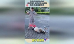 吃瓜拍照情侣游戏,吃瓜拍照情侣游戏，记录恋爱美好时光