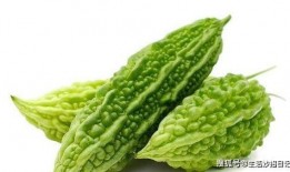 人才宿舍天天吃瓜,人才宿舍里的欢乐时光