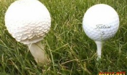高尔夫球吃瓜