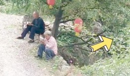 山楂树下吃瓜,夏日休闲新风尚