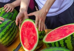 俄亥俄大学吃瓜,揭秘校园生活趣闻