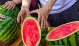 俄亥俄大学吃瓜,揭秘校园生活趣闻