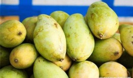 帅芒果的小花吃瓜,揭秘网红吃瓜背后的故事