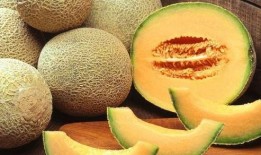 糖尿病人可否吃哈密瓜,哈密瓜的食用指南