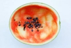 用勺吃瓜,品味夏日清凉的别样风情