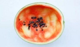 用勺吃瓜,品味夏日清凉的别样风情