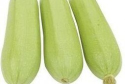 角瓜做法大全宝宝吃,角瓜营养食谱大全