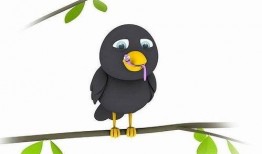 早起的虫儿被鸟吃 吃瓜