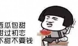 假吃瓜真吃瓜下一句,网络舆论背后的真相与反思