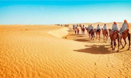 跑男来了沙漠吃瓜