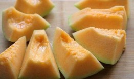 冬瓜吃哈密瓜,一场甜蜜的味蕾之旅