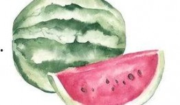 墨龟吃瓜,揭秘墨龟吃瓜的奇妙世界