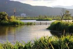 西昌湿地公园吃瓜,夏日消暑吃瓜好去处