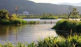 西昌湿地公园吃瓜,夏日消暑吃瓜好去处